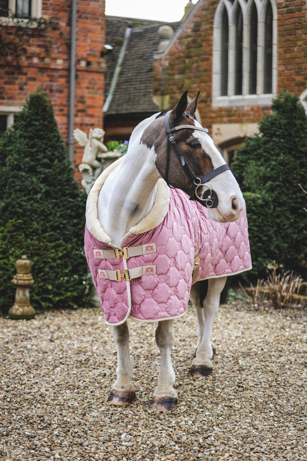 Blush velvet show rug