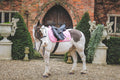 Pink tweed saddle pad