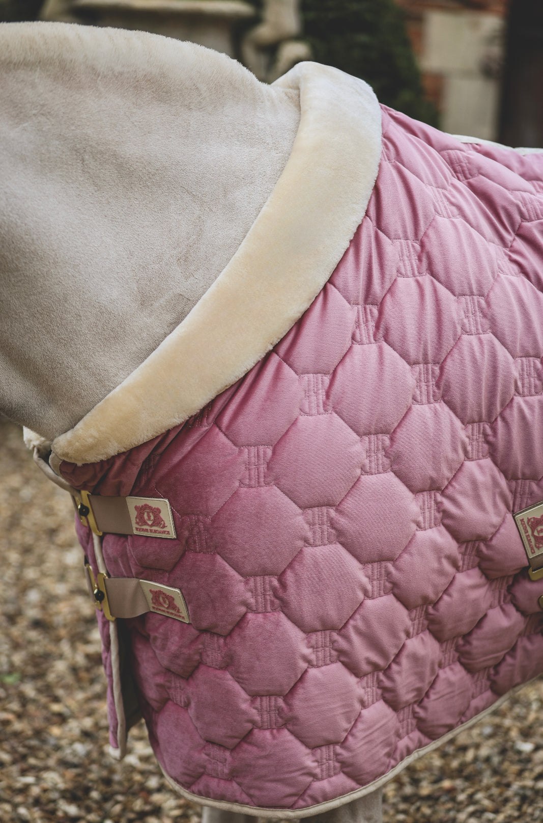 Blush velvet show rug