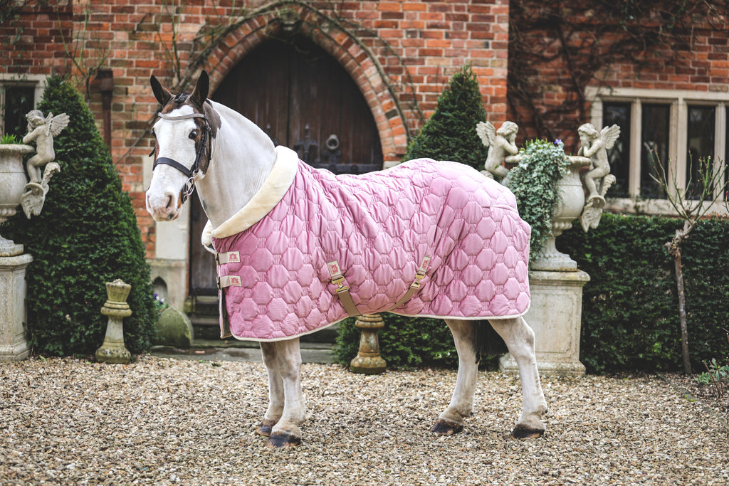 Blush velvet show rug