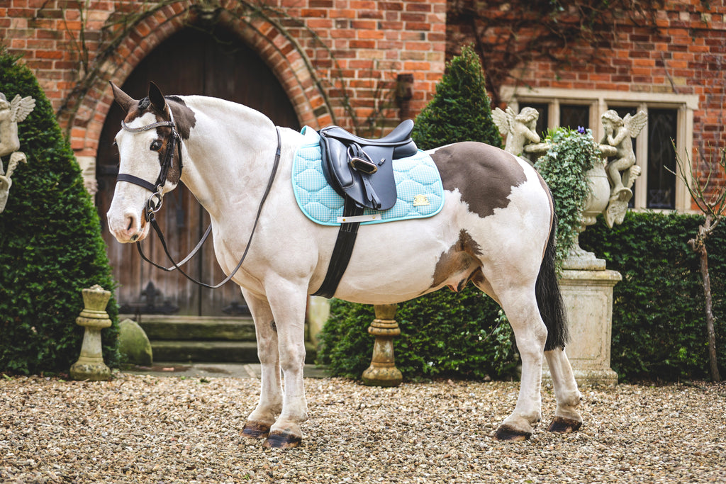 Blue tweed saddle pad