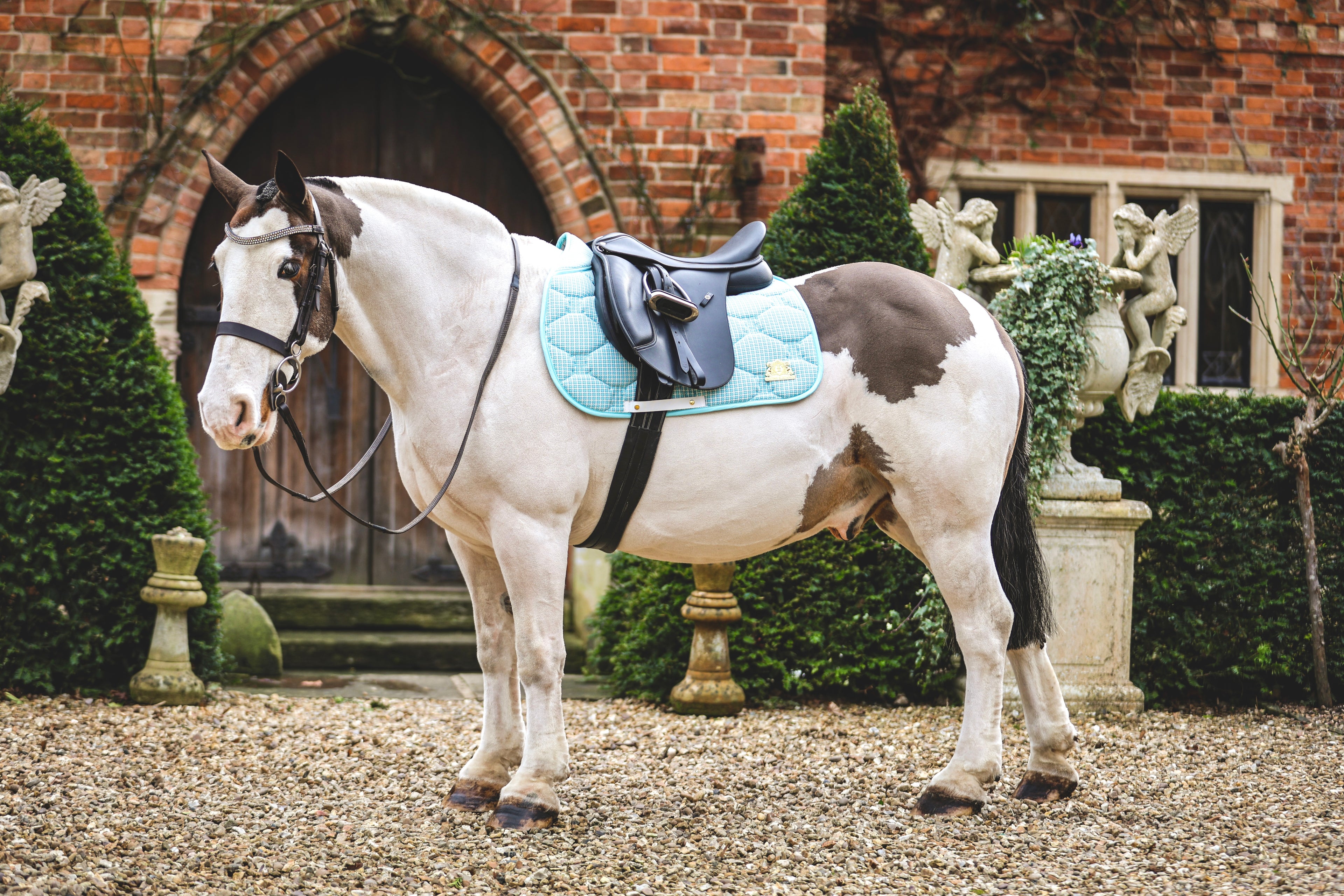 Blue tweed saddle pad