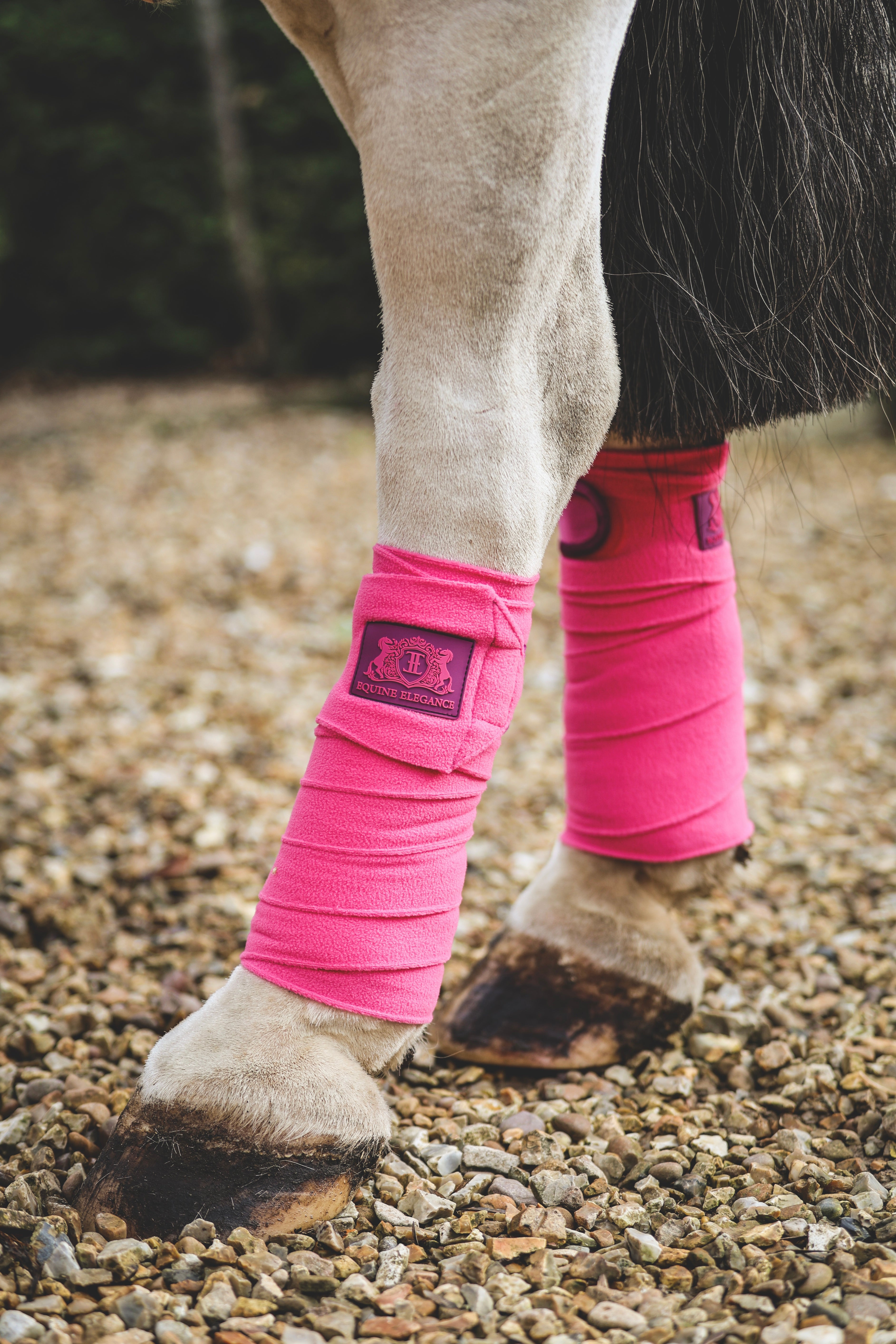 Velvet saddle pad set