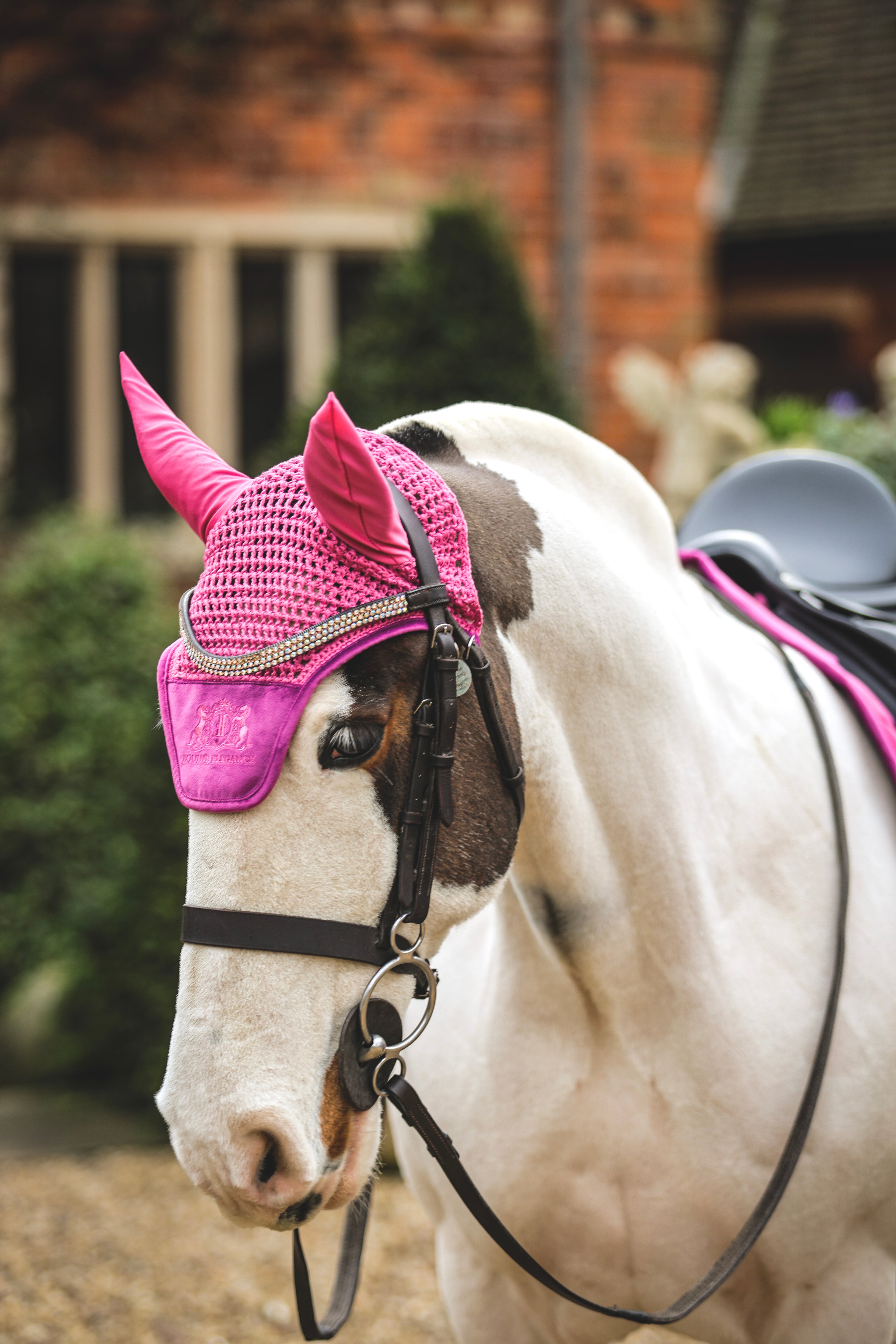 Velvet saddle pad set