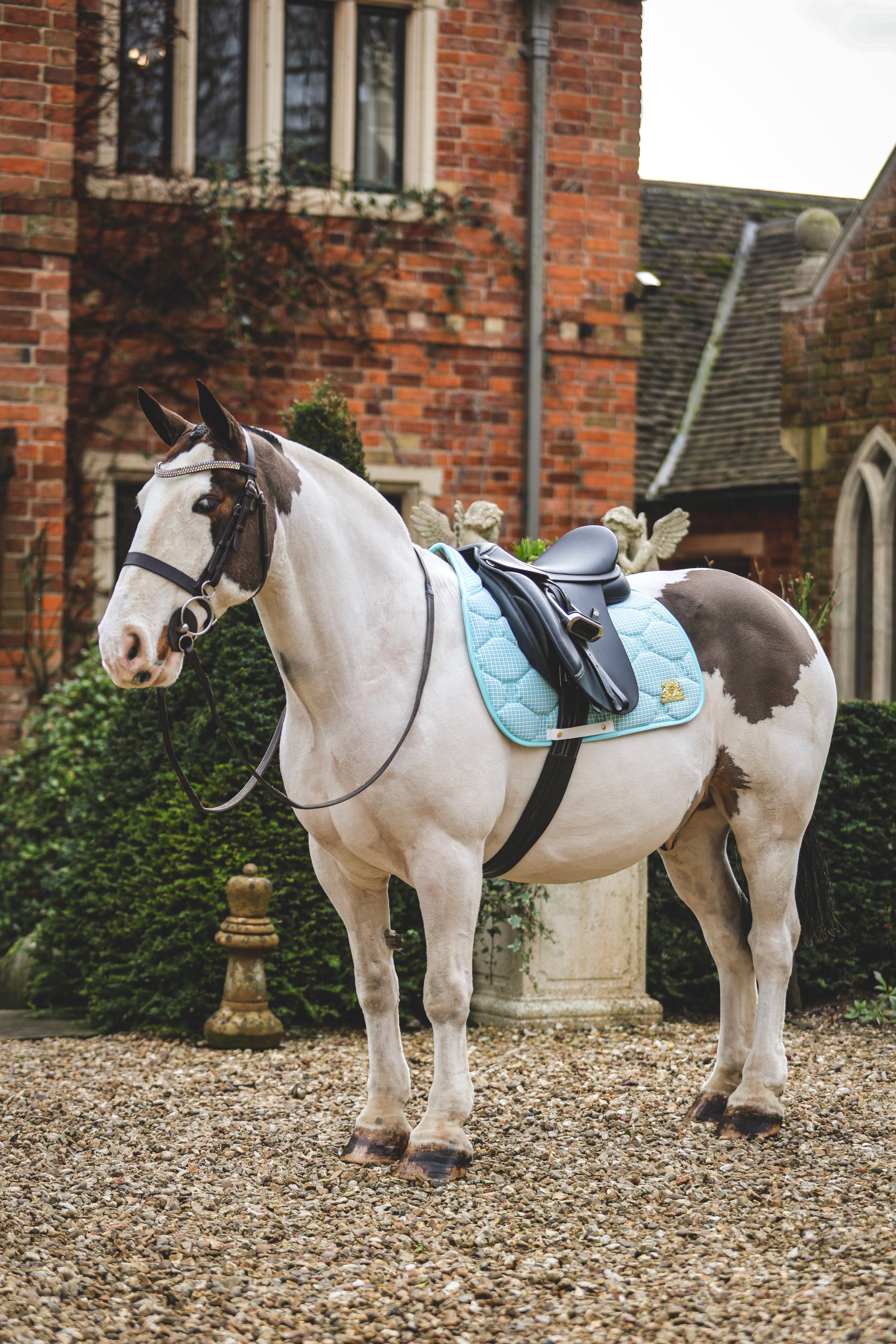 Blue tweed saddle pad