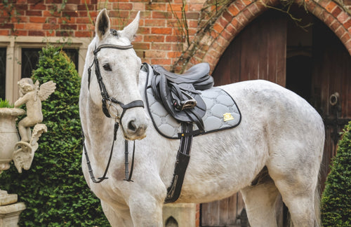 Black & White tweed saddle pad